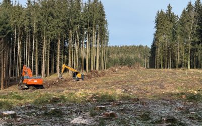 Erste Baumaßnahmen beginnen