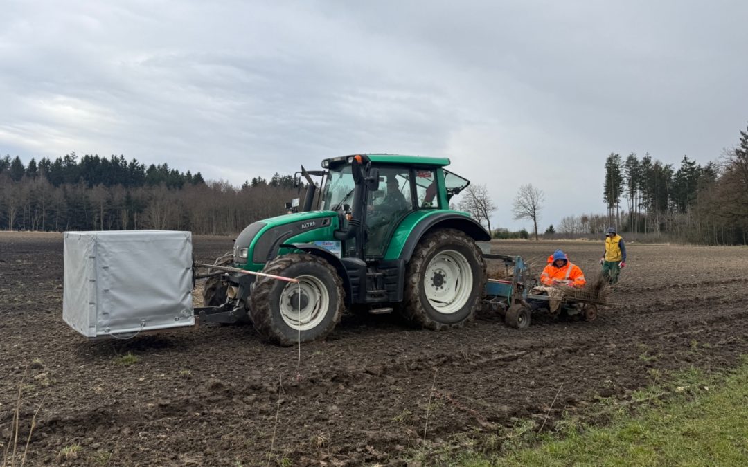 Mischwald statt Monokultur